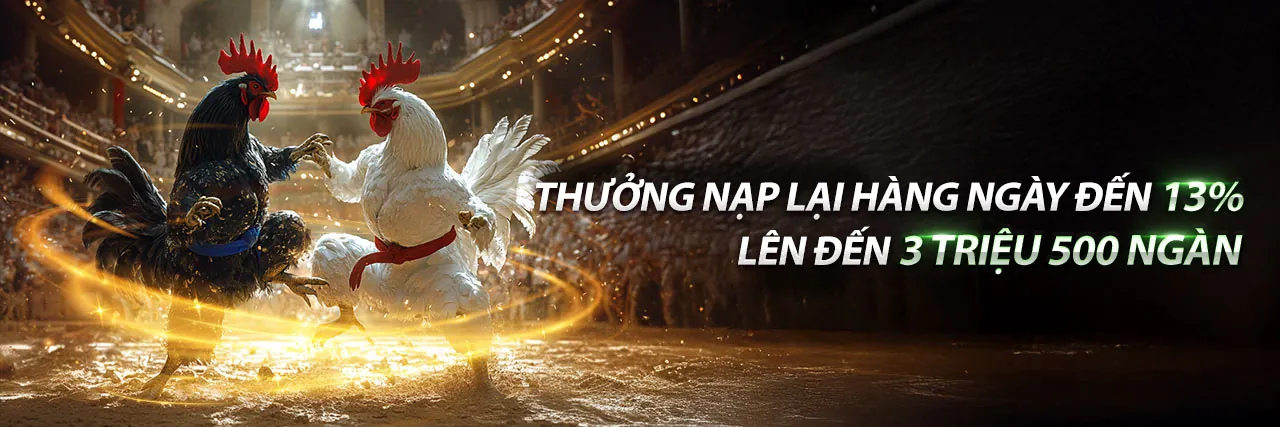 Hình ảnh chính Blog rrr88 casino: Cá cược thể thao và casino trực tuyến